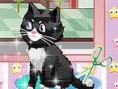 Cat Salon